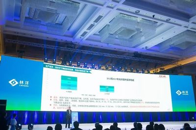 林洋能源發(fā)布多款N型單晶雙面組件 推動(dòng)光伏產(chǎn)業(yè)技術(shù)升級(jí)